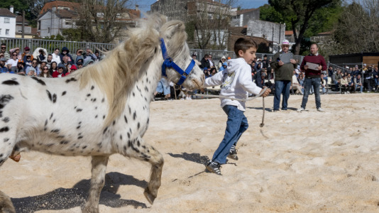 20260405_Padron_Pascua_Feira_Cabalar-72