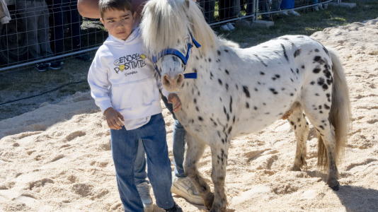 20260405_Padron_Pascua_Feira_Cabalar-64