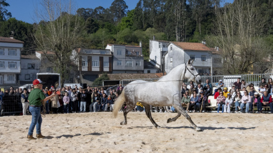 20260405_Padron_Pascua_Feira_Cabalar-45